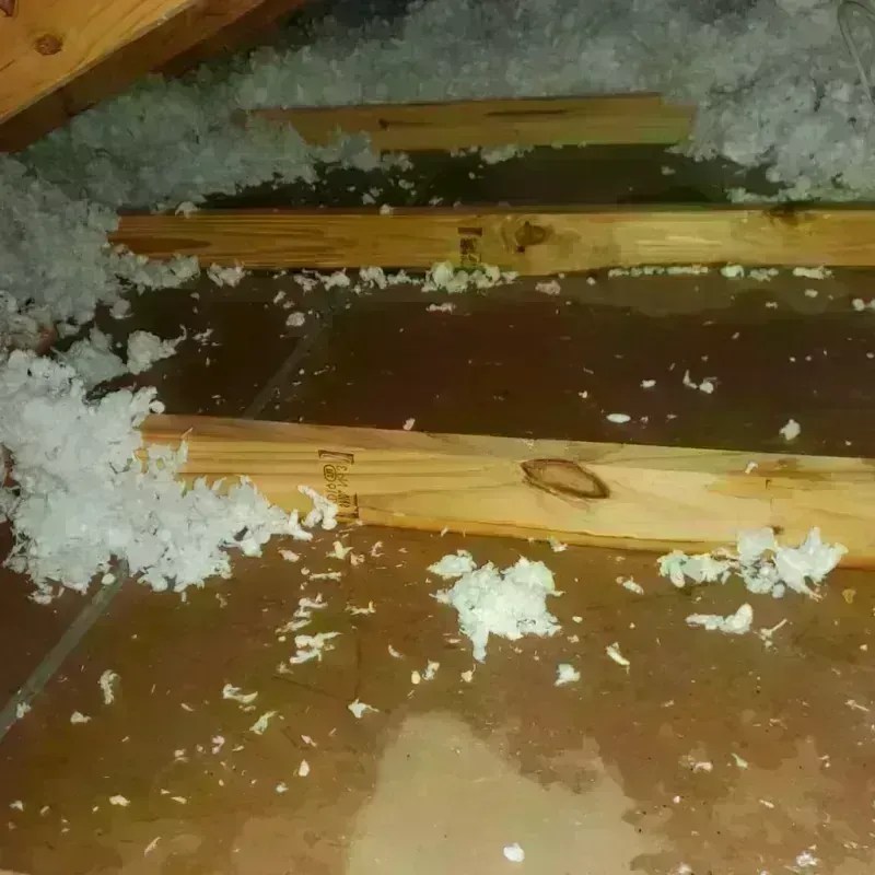 Attic Water Damage in Warrenville, SC